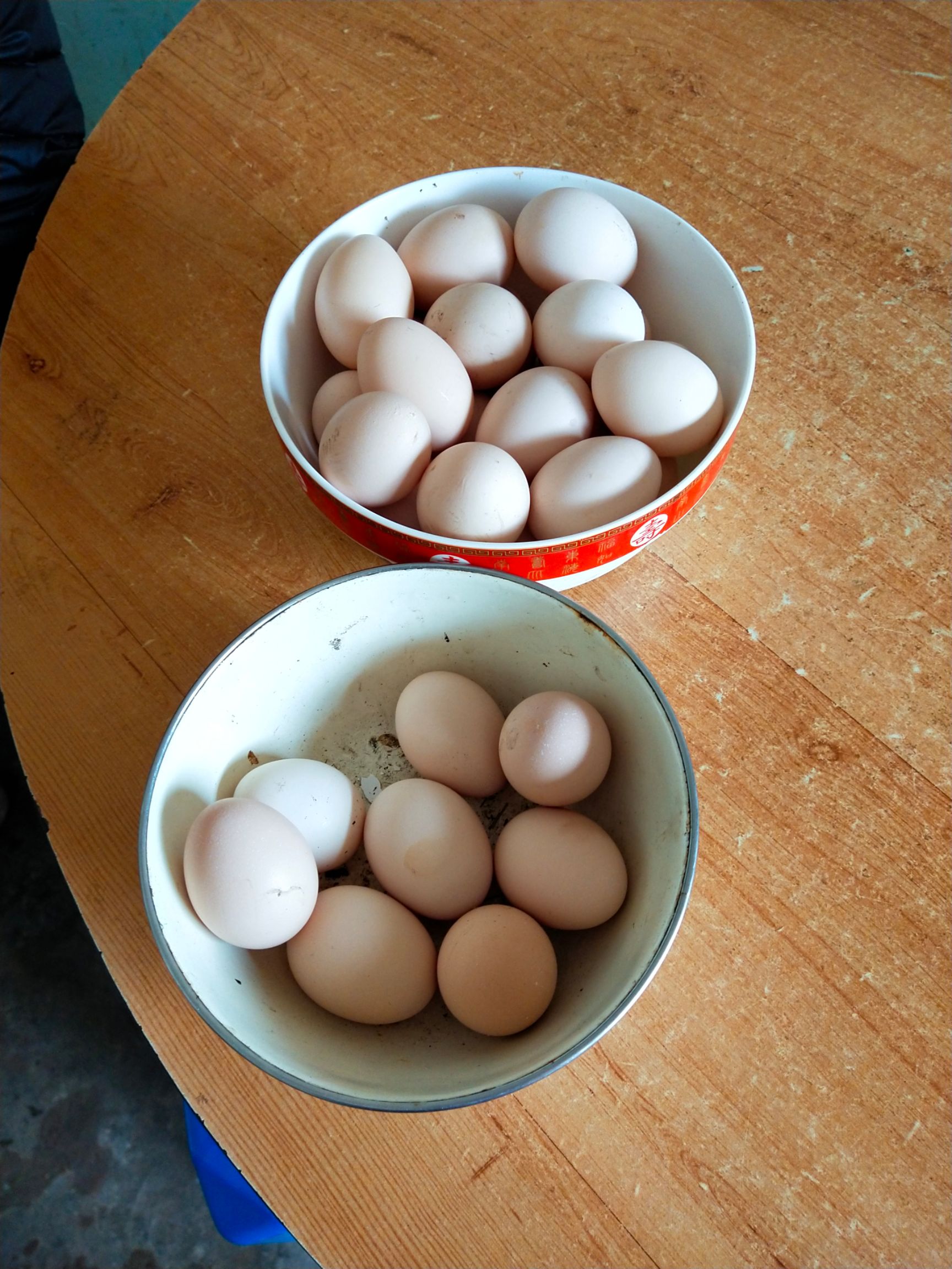  生态农产品，土鸡蛋和养殖鸡蛋的区别！