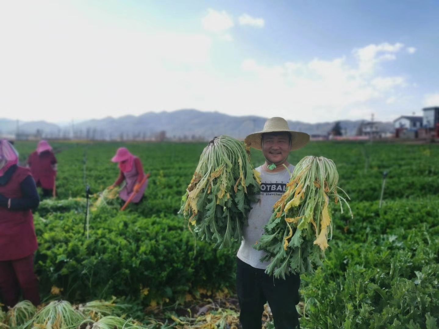 梅干菜 专业成就未来