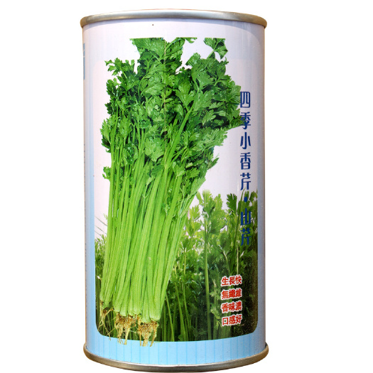 四季小香芹种子，山芹 大田菜园高产生长快纤维少