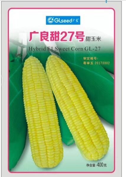 泰国甜玉米种子，广良甜27，甜玉米种，抗病强产量高