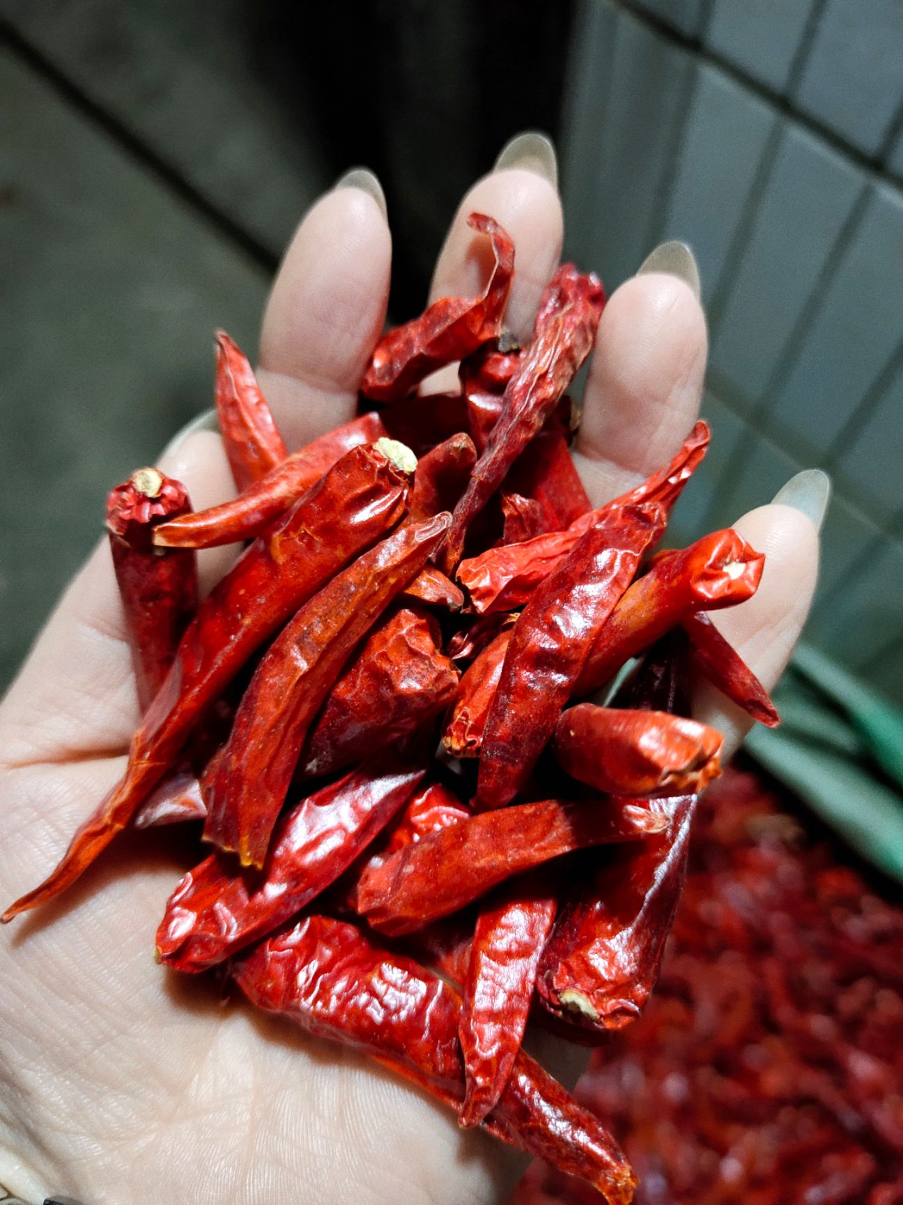 小米椒 本人有60顿烘干的小米辣，批发出售有意者请联系我