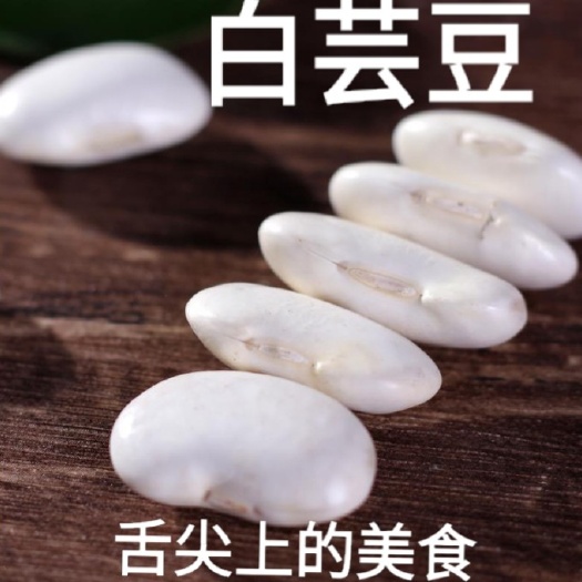 白芸豆五谷杂粮熬粥打豆浆炖肉白芸豆5斤装包邮