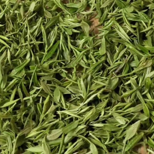 南京凤冈锌硒茶 恒温长期保存