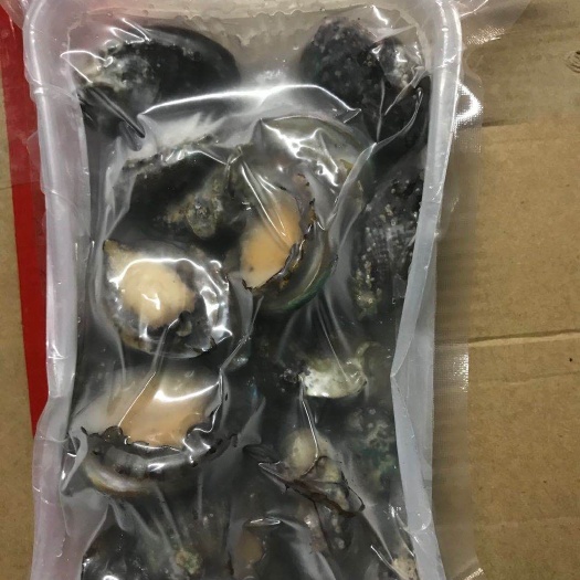 东山县真空包装袋 小包装鲍鱼