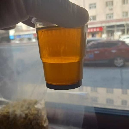 油品质量检测仪 青杂9，品种好，质量优，出油率高，净油37.油色正。