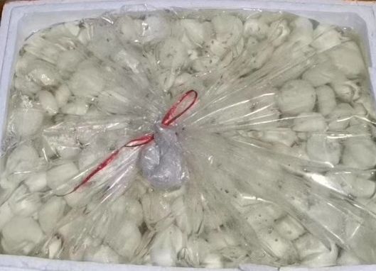 荔浦市毛马蹄   纯手工白马蹄肉