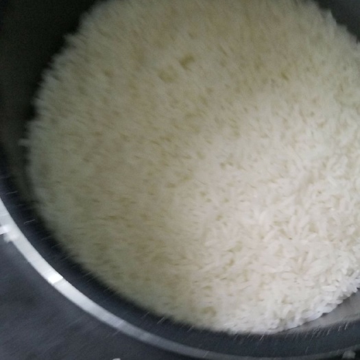 合肥稻花香大米 一等品 一季稻 粳米