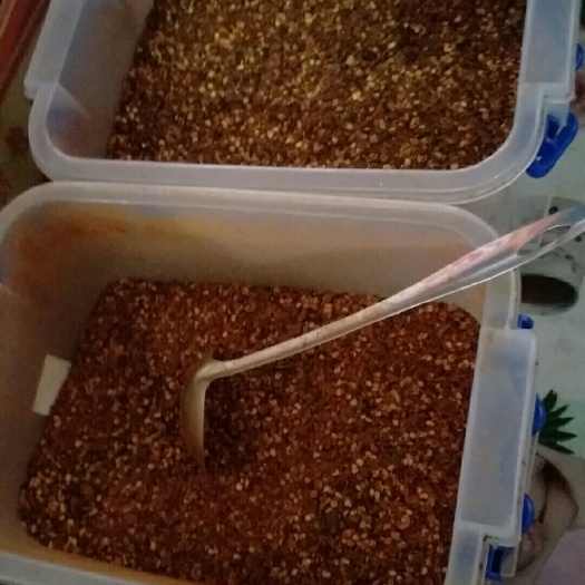 宁波 贵州正宗辣椒面，特辣的，不辣的