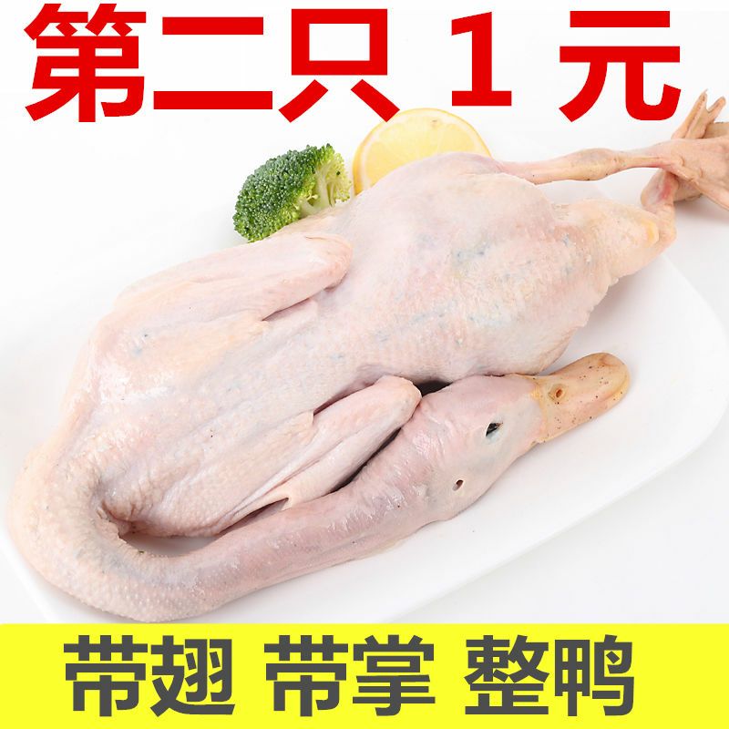  麻鸭整只带翅带脚