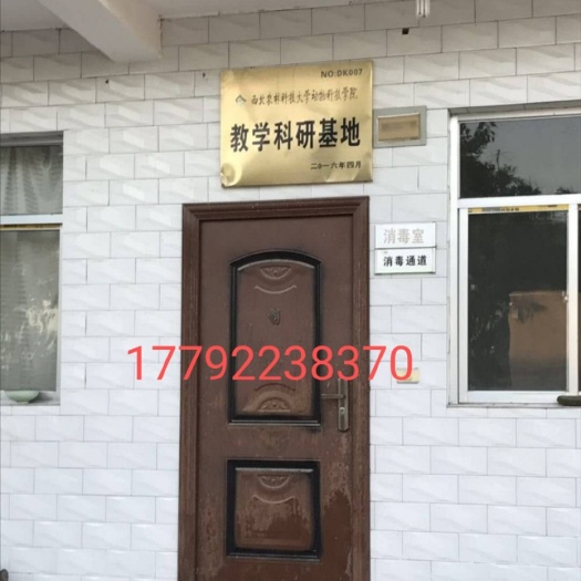 富平县 富平奶山羊之乡羊奶之都