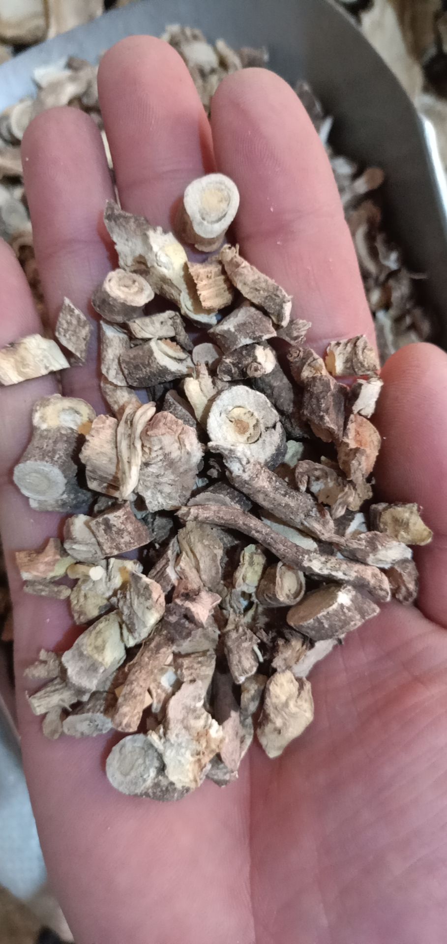 白鲜皮中药材白鲜皮
