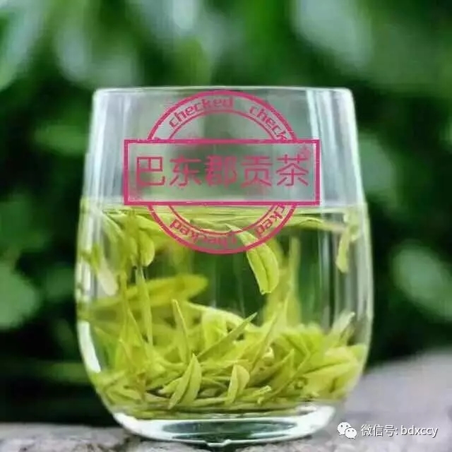 恩施富硒茶 恩施玉露绿茶2020春茶富硒茶自产自销毛尖长期大量供应