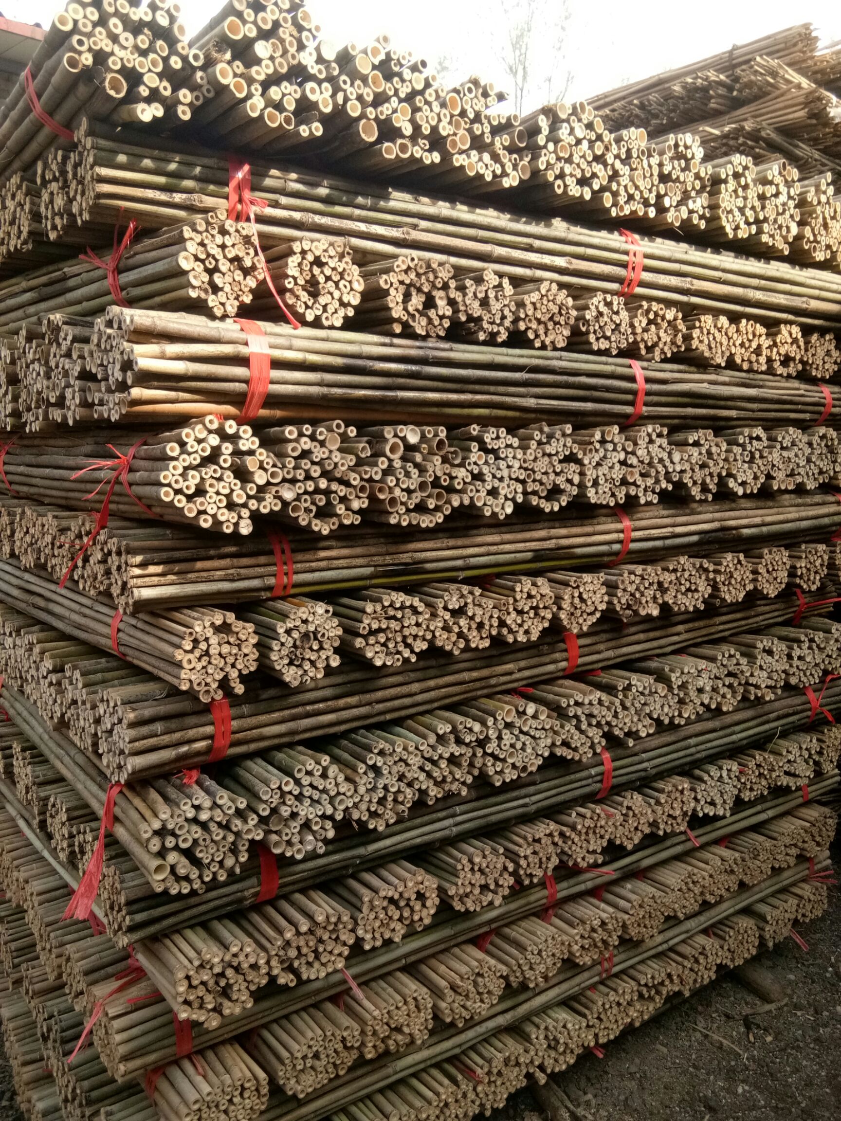 竹竿2米长旗杆 烤杆 加工好成品现货 每捆标准50根 大量批发