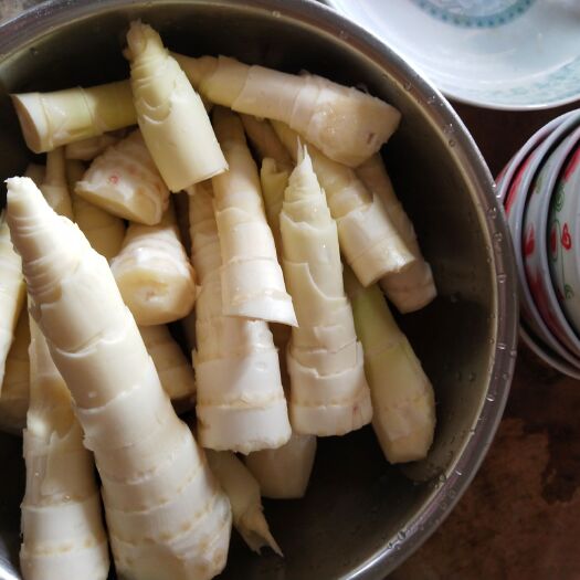  新鲜小竹笋上市了