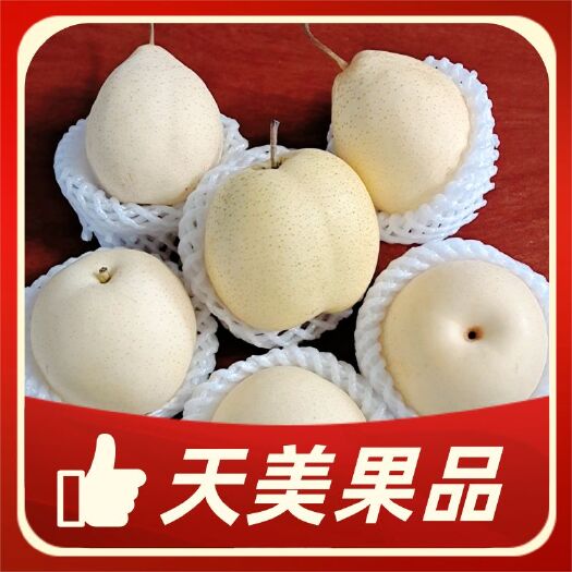 赵县 河北产地直销 支持整车代发 皇冠梨 雪花梨 水晶梨等