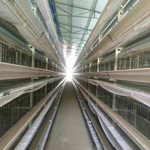 西平县 新品小层叠鸡笼养殖设备