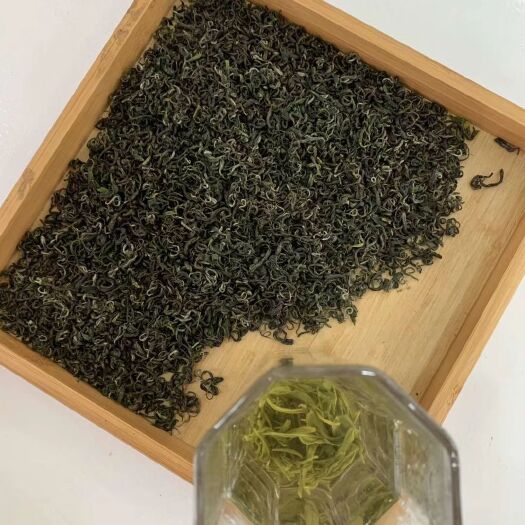 湄潭县湄潭翠芽 湄潭毛峰茶叶 批发价