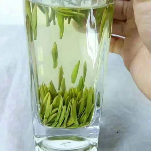 海丰县 高山绿茶。日照茶