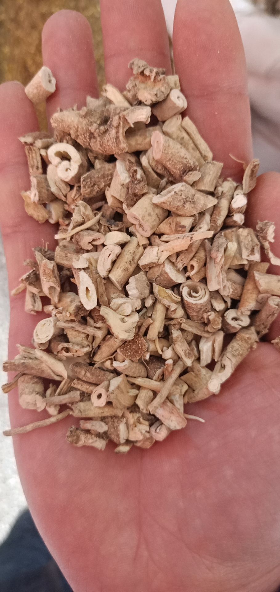白鲜皮中药材白鲜皮