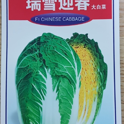 北京白菜籽 二⭕️二⭕️年，优质黄心菜种子