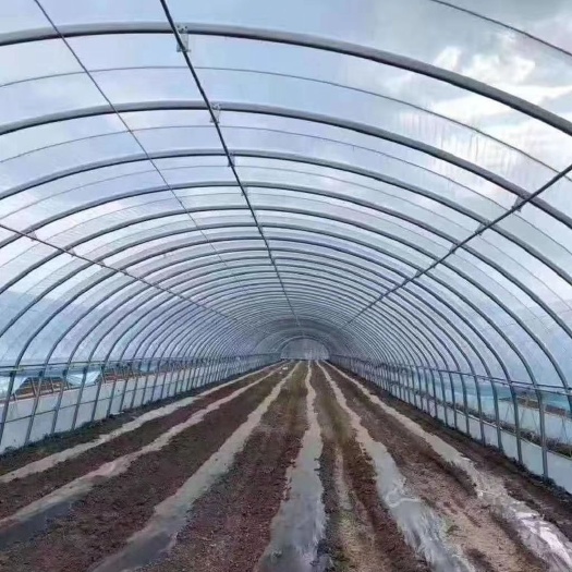 天津压膜带 温室大棚设计与安装指导，各种棚型价格第一