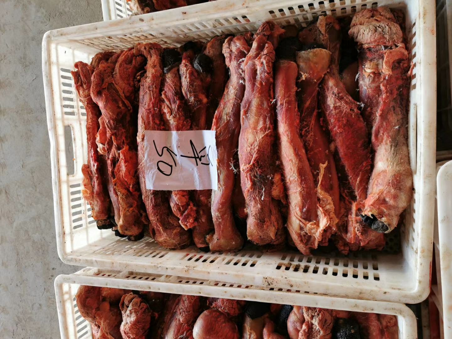  马肉 马鞭单鞭光杆新鲜马鞭