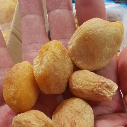 广州 一手货源新疆吊干杏干小白杏干现货50吨