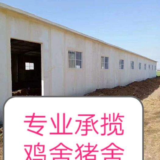 沧县养殖大棚