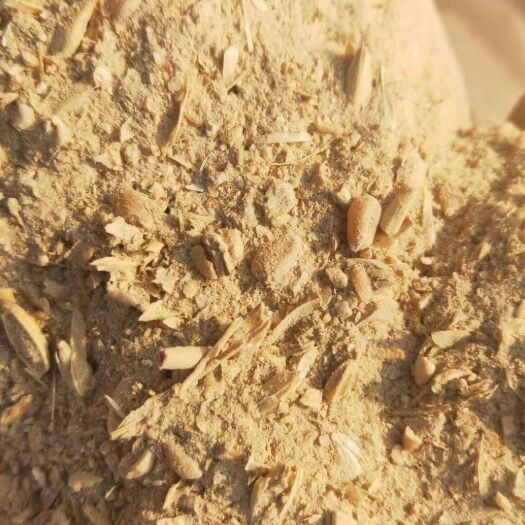石家庄厂家直销，麦毛，支持视频看货