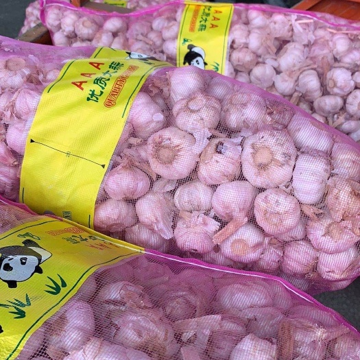 成都 纯干大蒜 中东出口货 干大蒜