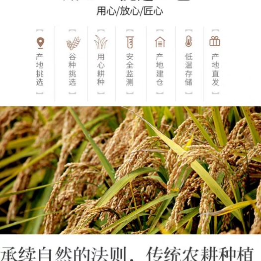 盘锦 东北大米，一年一季，辽河水灌溉，蟹田滋养出的好大米。