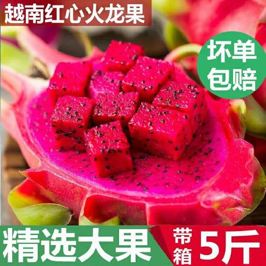 南宁[5斤包邮]现摘红心火龙果新鲜水果特产5斤包邮当季整箱批发