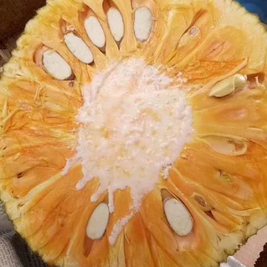 河口县 菠萝蜜菠萝蜜，香香甜甜的菠萝蜜。