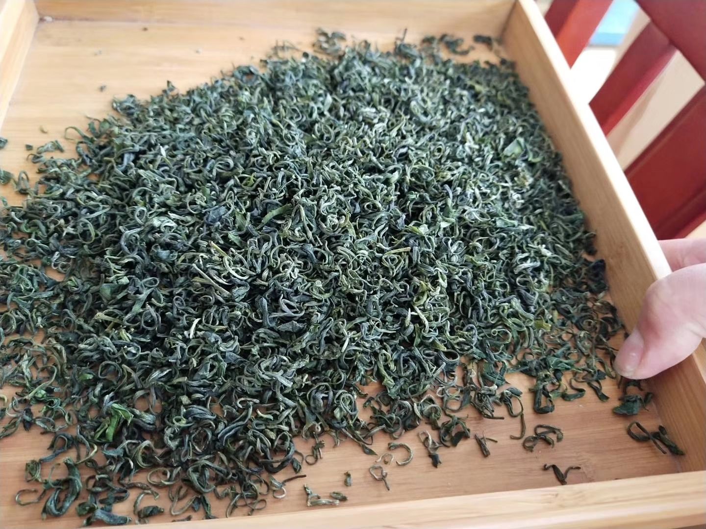  湄潭绿茶
