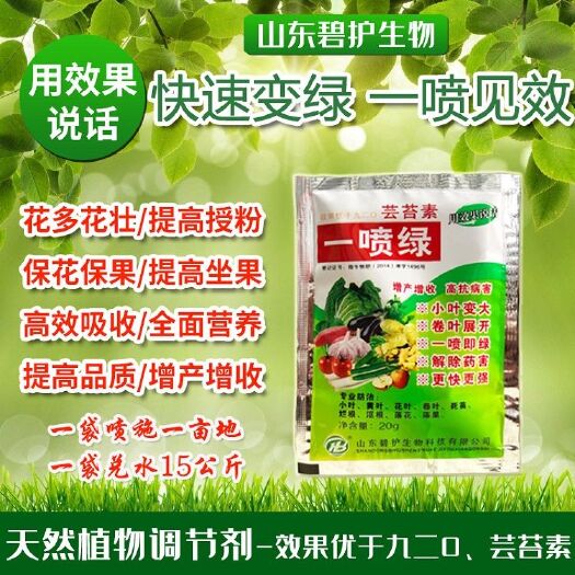 济宁叶面肥蔬菜果树通用绿叶素一喷绿