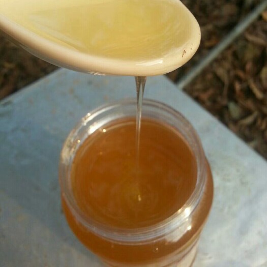 河源 荔枝蜜糖纯正天然土蜂蜜广东省农家自产自销