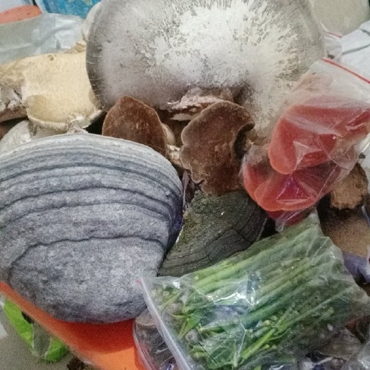 延安白灵芝 大量药材批发