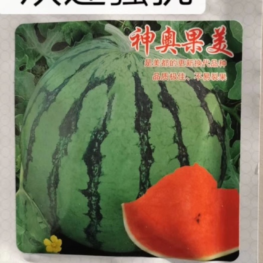美都西瓜种子 神奥《果美》~大果红肉抗病性强易座瓜14度亩产