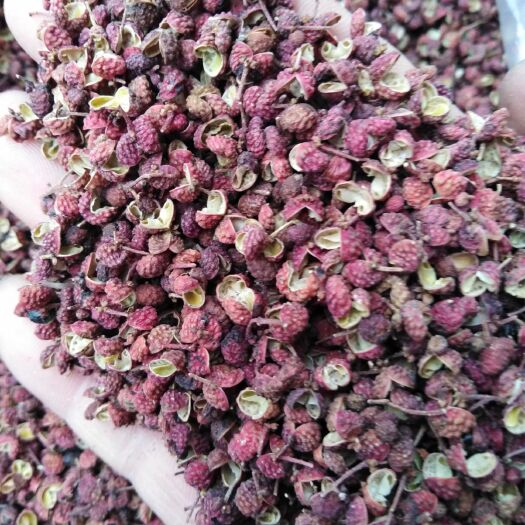 济南 莱芜茶业口镇大红袍花椒