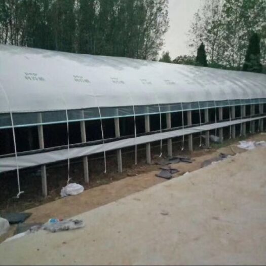 怀远县椭圆管骨架