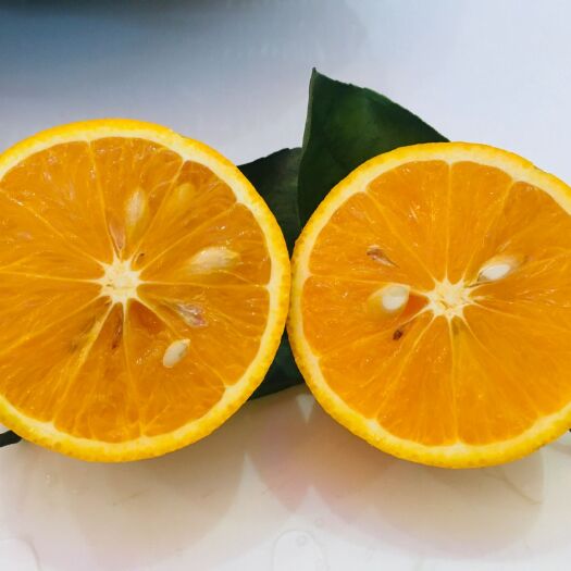 宜宾 天然新鲜夏橙