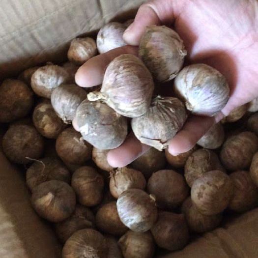 鹤庆县紫皮大蒜