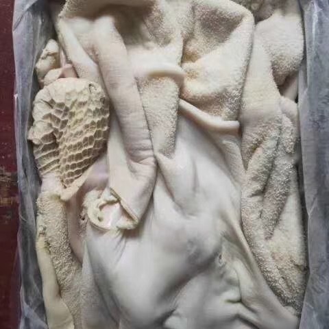 阳信县 酱香牛肚
