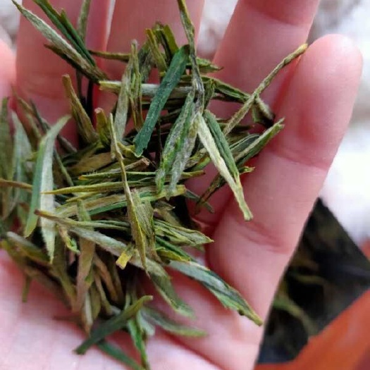 泾县竹叶青茶 新茶上市