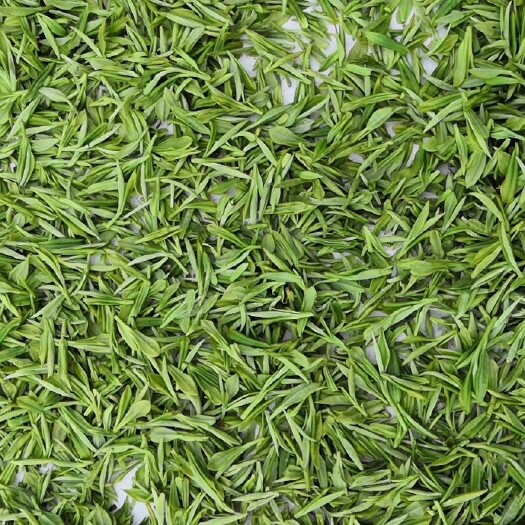 新昌县龙井茶  2021谷雨前大佛龙井43号传统扁平工艺炒制清香绿茶