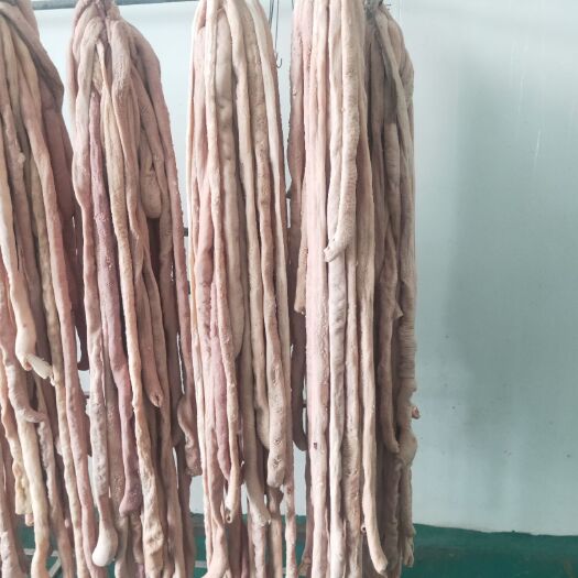 大厂县干净牛肠
