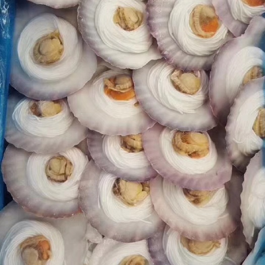 郑州粉丝扇贝，蒜蓉粉丝扇贝。其味道鲜美。价格公道。