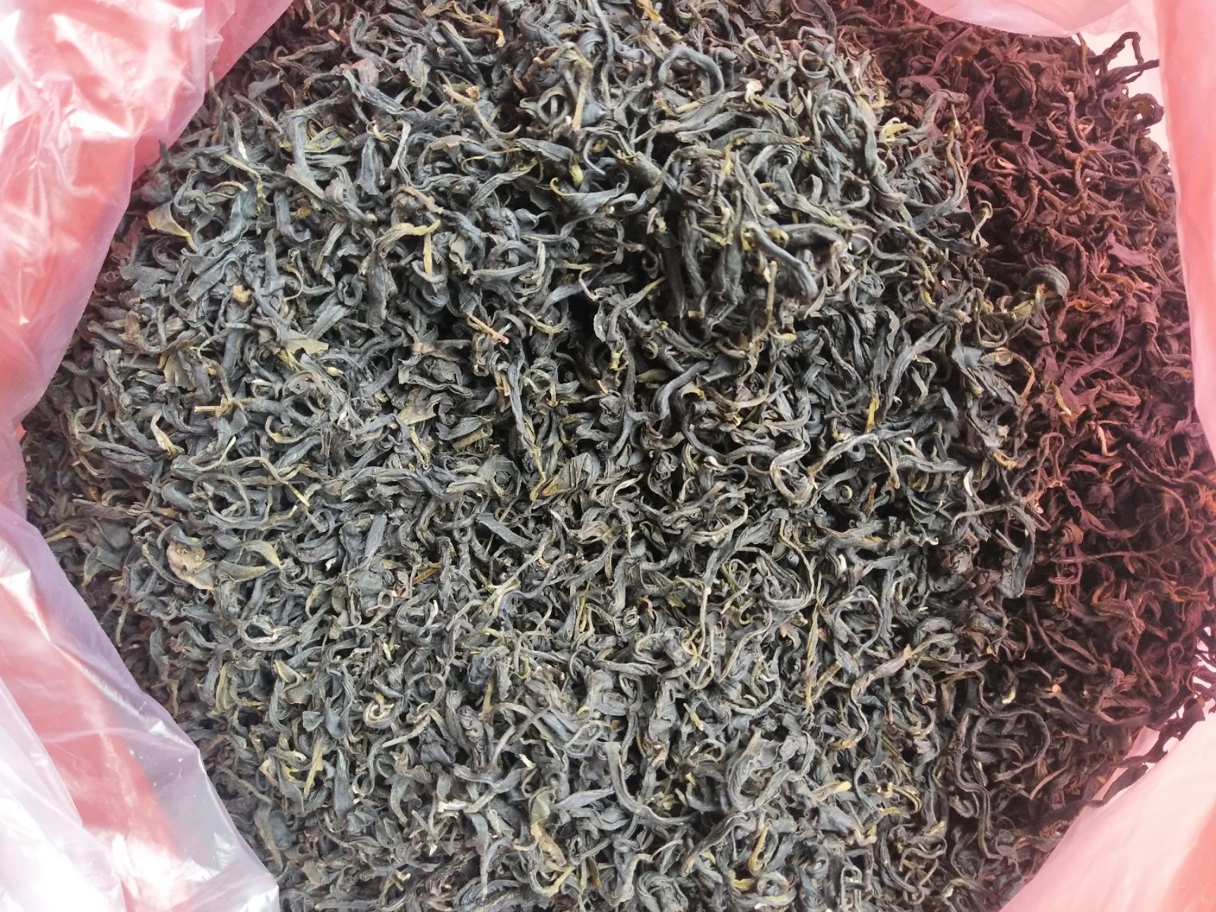 明前茶 社前茶