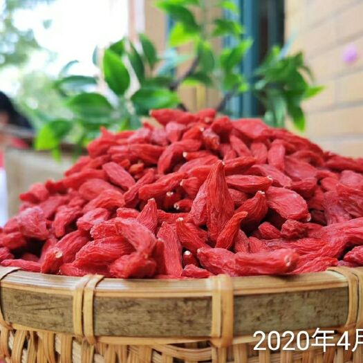 中宁县 杞之家无硫枸杞   活动优惠16元包邮
