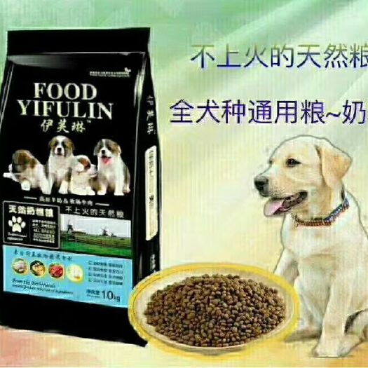 容县饲料鱼 伊芙琳幼奶糕粮和中域产品
